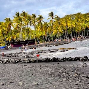 Meet your Posher, Belle